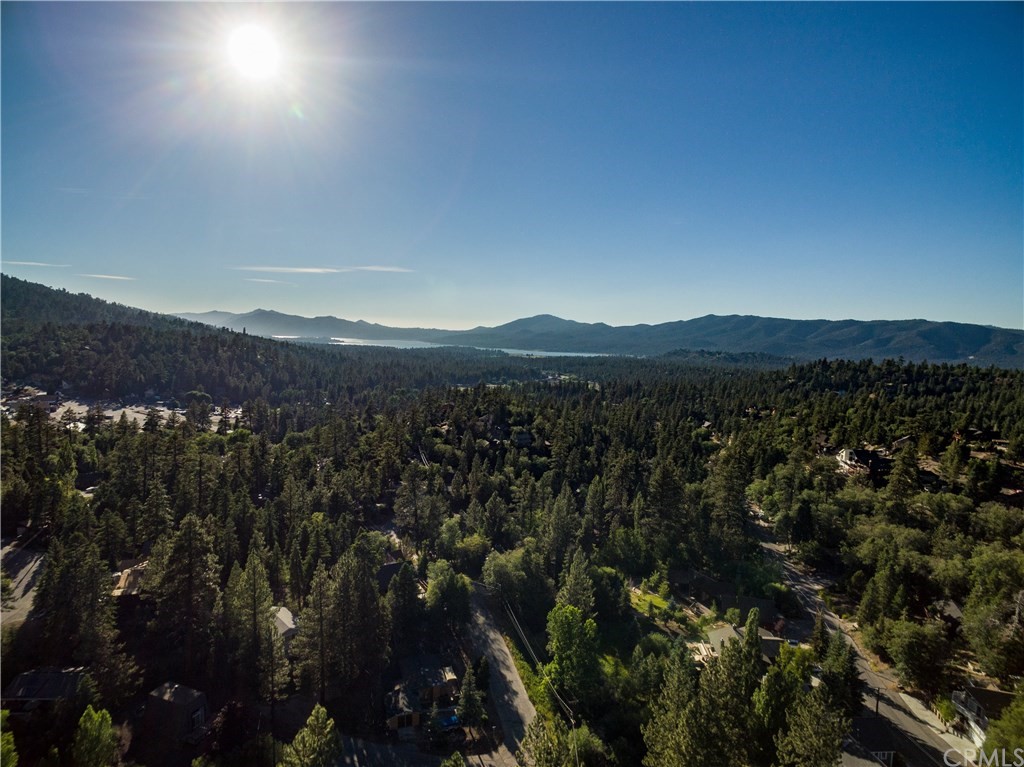 43490 Primrose Drive Big Bear Lake, CA 92315 - Photo 69 of 69