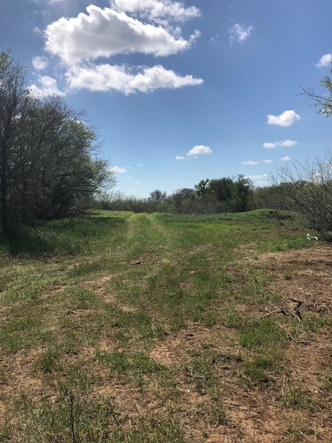 0 Easement Off Moon Brake Road Elgin, TX 78621 - Photo 1 of 1 a view of an ocean and beach