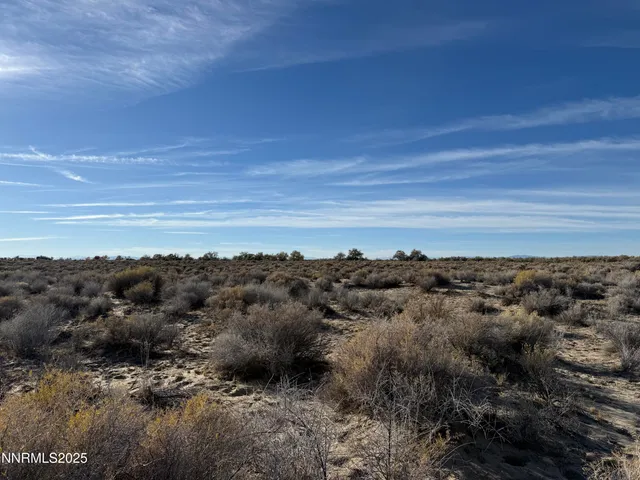 a view of a bunch of trees in a field