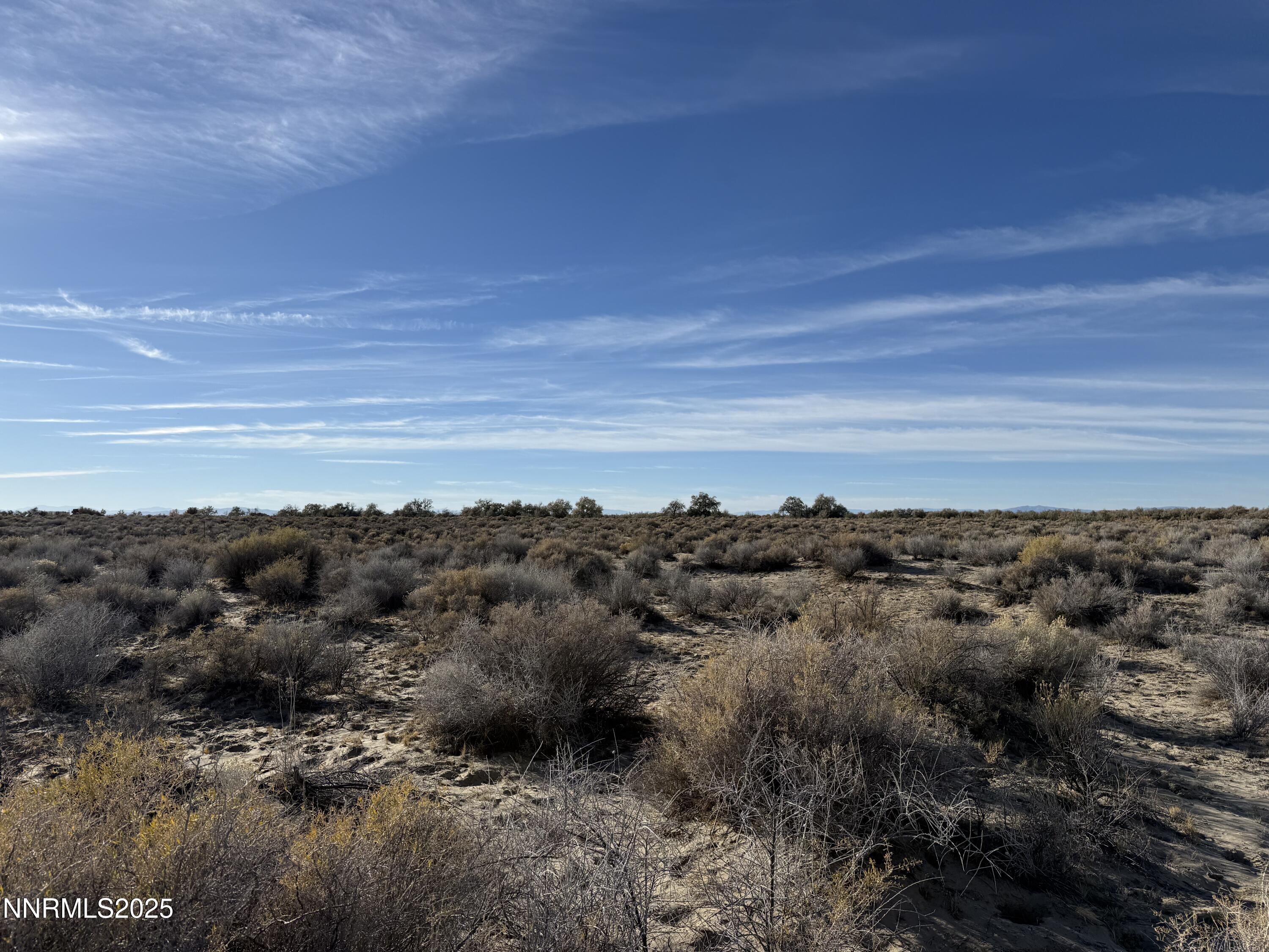 a view of a bunch of trees in a field