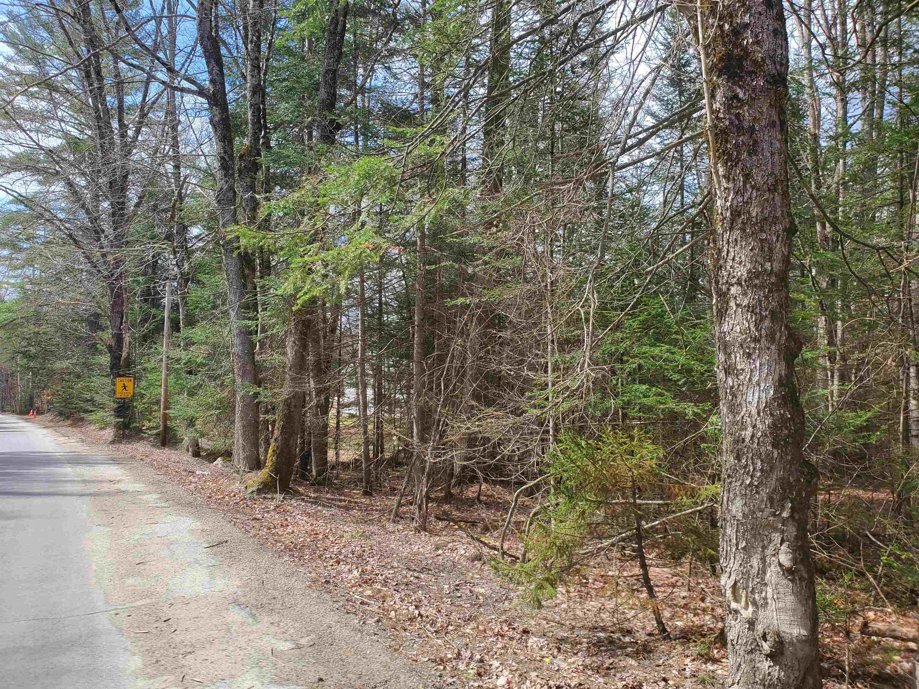 405-79 Cherry Valley Road Bethlehem, NH 03574 - Photo 8 of 8