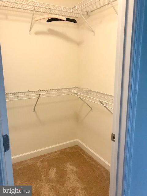 439 West Maple Road Linthicum Heights, MD 21090 - Photo 15 of 30 a view of a walk in closet