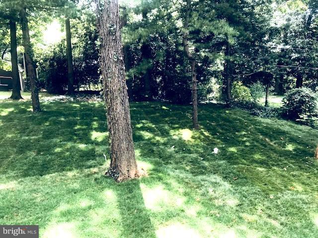 439 West Maple Road Linthicum Heights, MD 21090 - Photo 24 of 30 a view of a tree in a yard