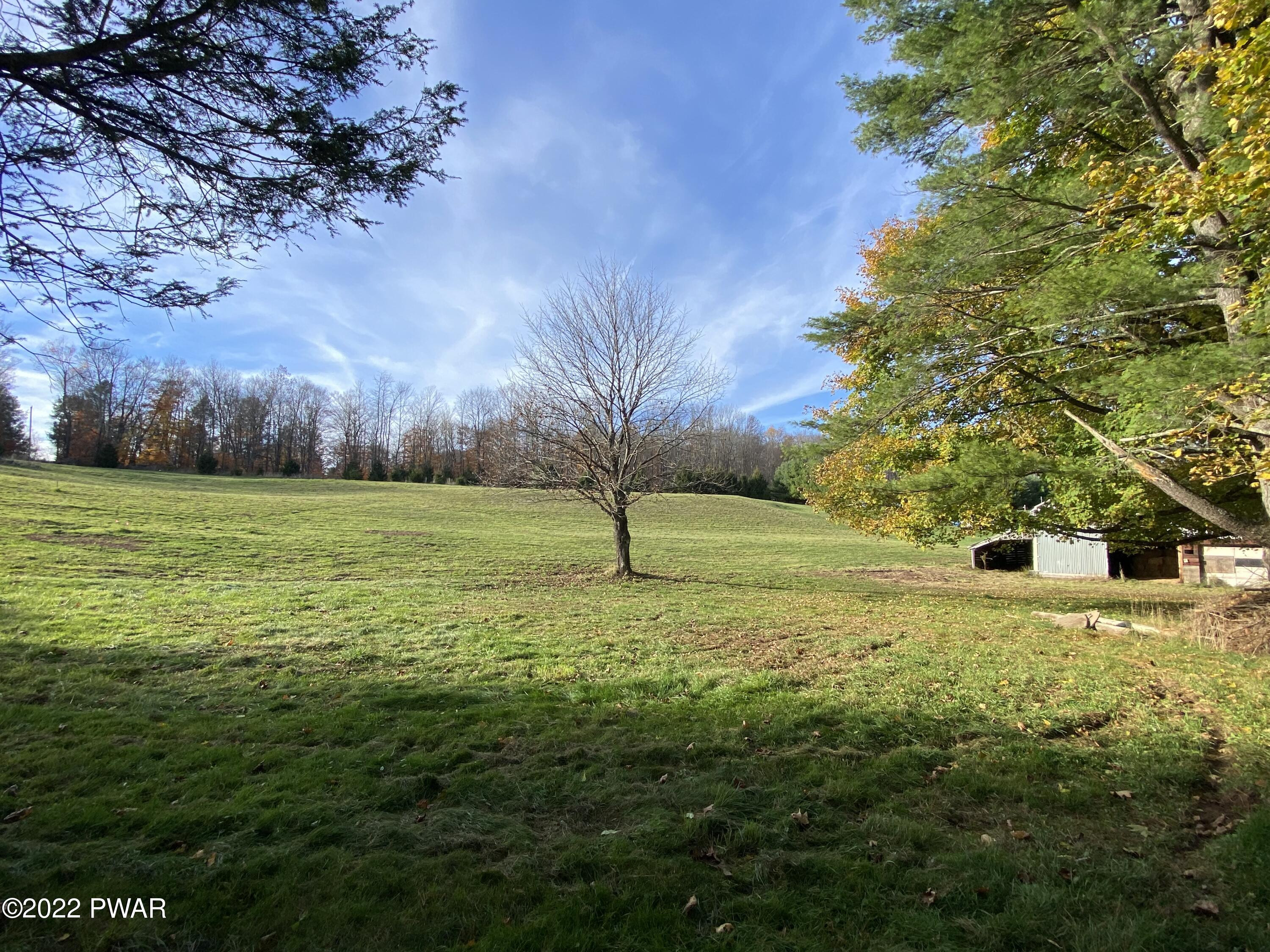 186 Pflaster Road Damascus, PA 18415 - Photo 3 of 12