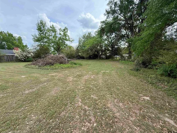 a view of a field with trees in the background