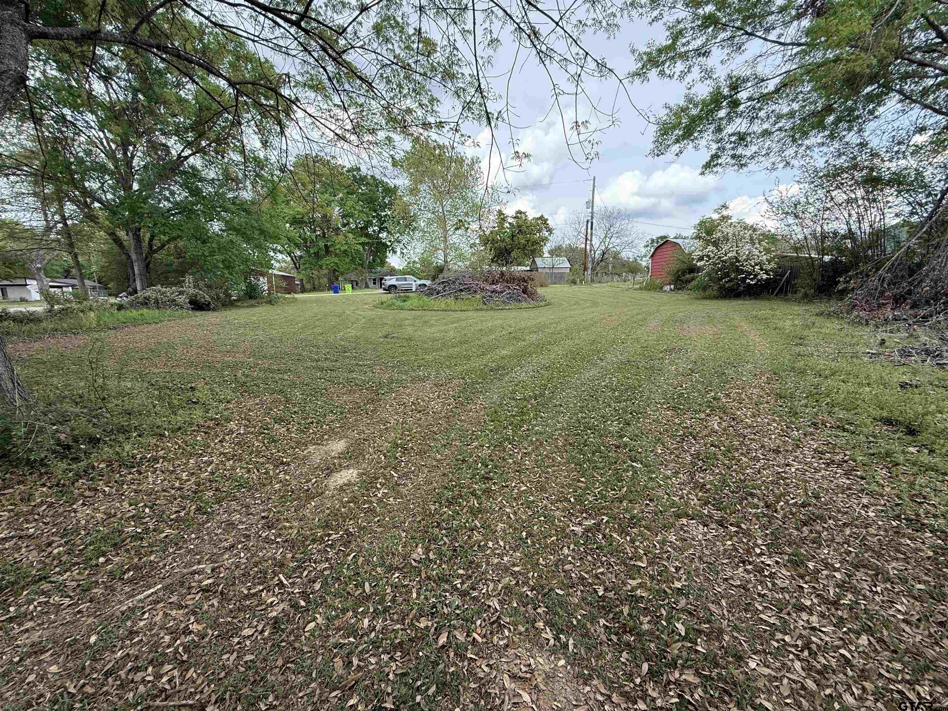 0 Beth Street Winona, TX 75792 - Photo 4 of 6 a view of green field