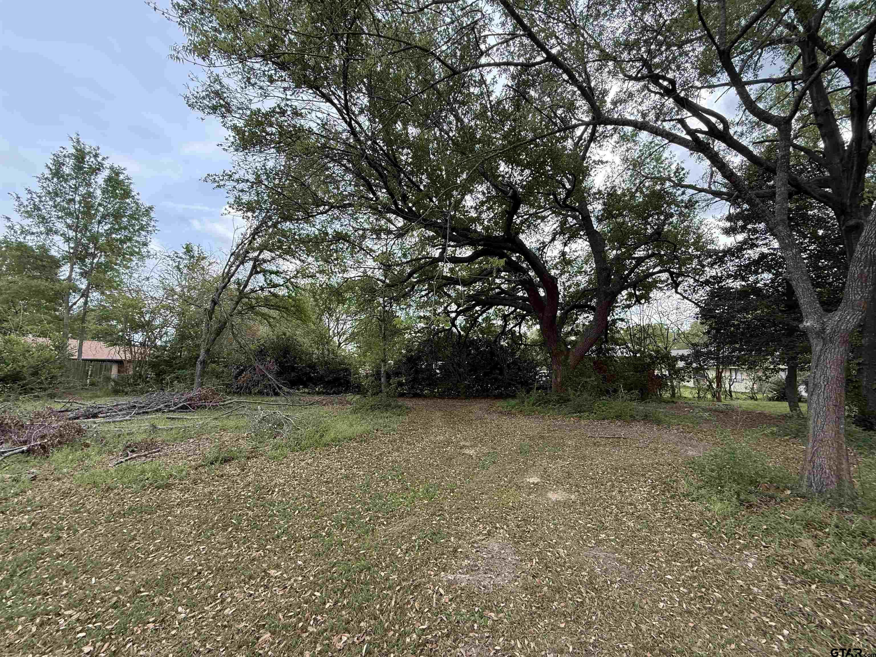 0 Beth Street Winona, TX 75792 - Photo 5 of 6 a view of a trees in a yard