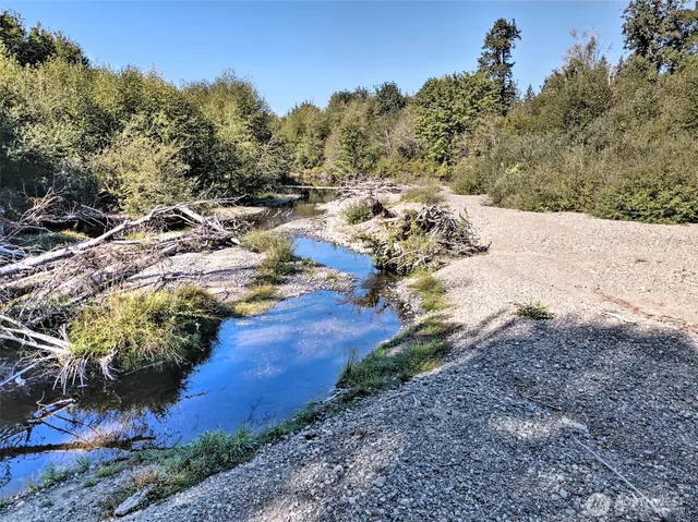 a view of a yard with mountains in the background