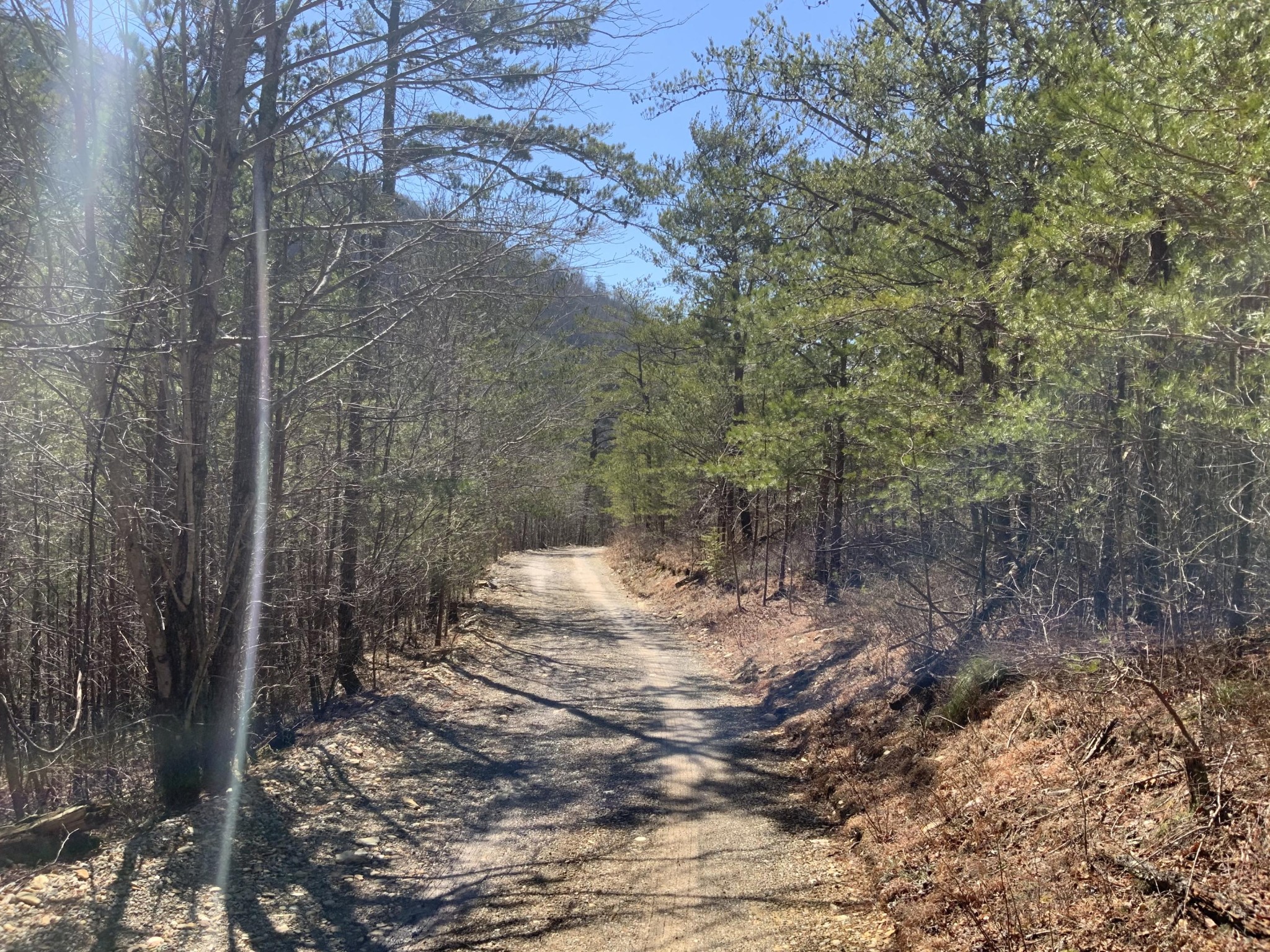 0 Smithfield Road Tellico Plains, TN 37385 - Photo 2 of 4