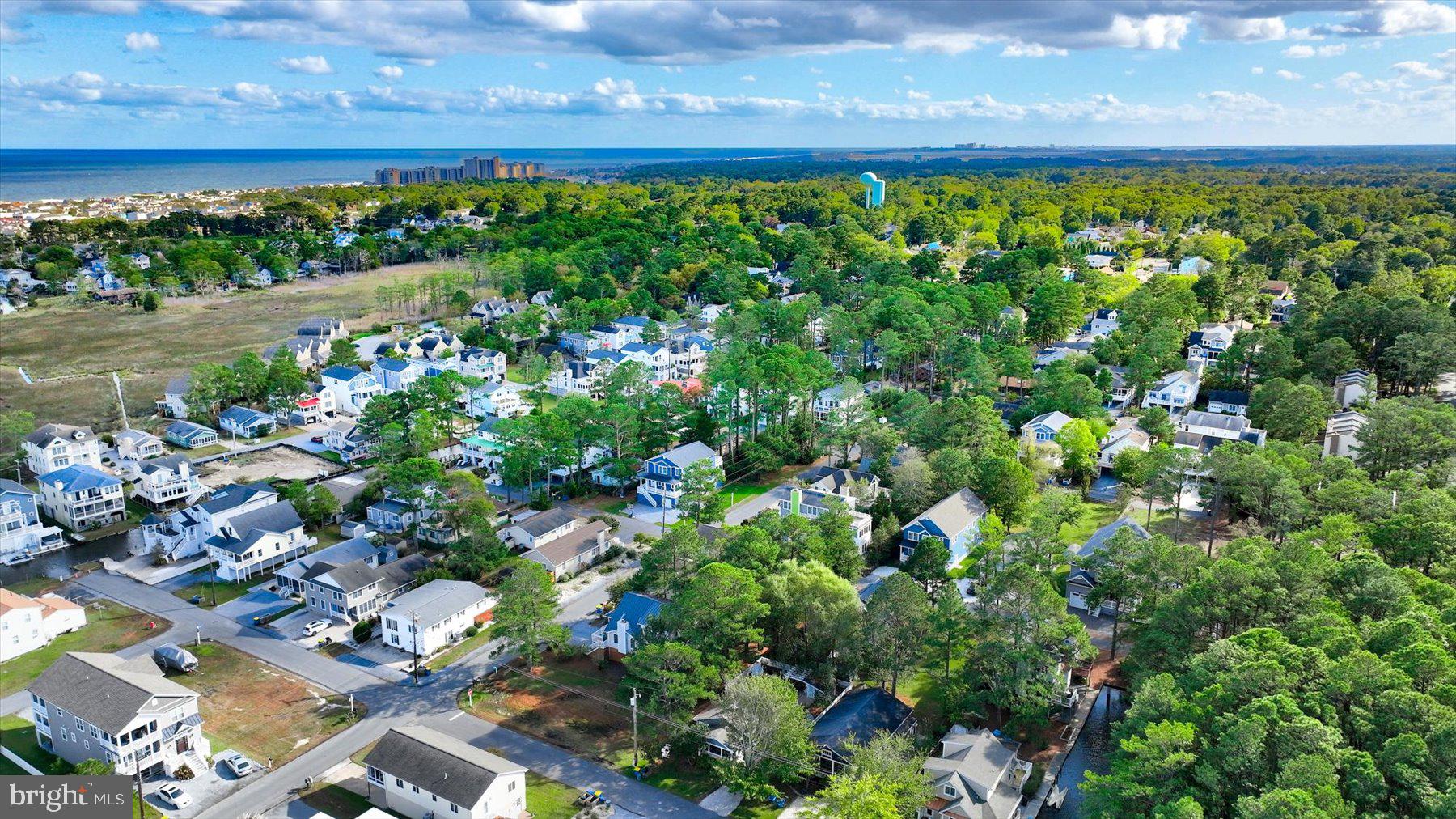679 Evans Avenue Bethany Beach, DE 19930 - Photo 6 of 12 a view of a garden with a lot of plants