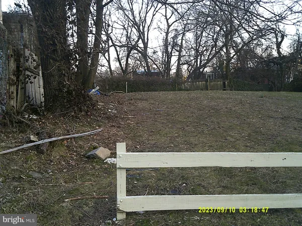 a view of a yard with large trees