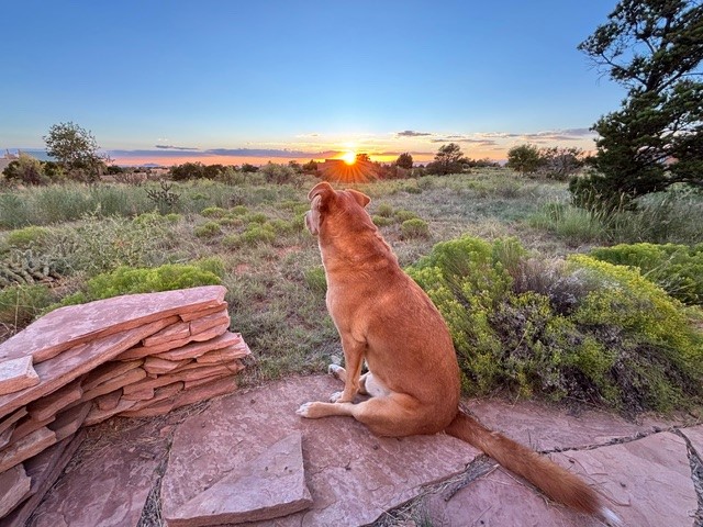6 Palacio Road Santa Fe, NM 87508 - Photo 19 of 19 Enjoying the Sunset!