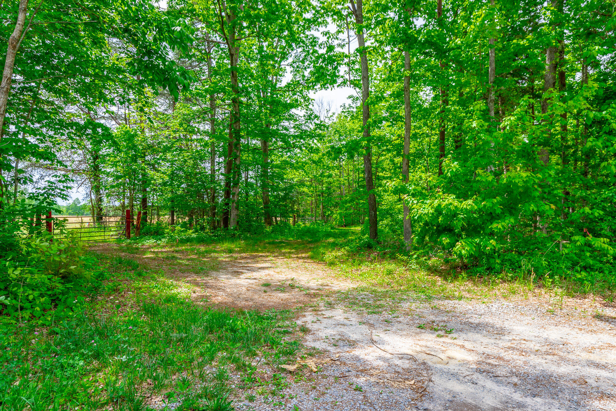 0 Ray Gadd Road Graysville, TN 37338 - Photo 25 of 109 Ray Gadd Road Lot HD-62