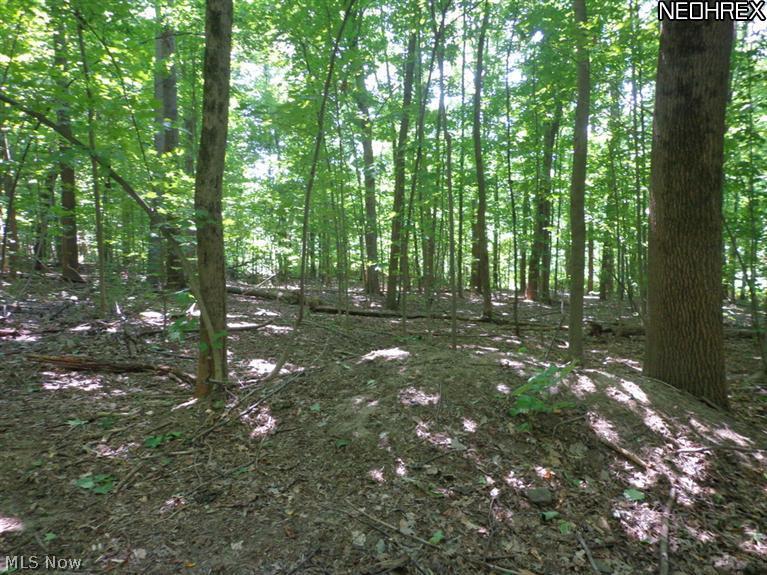 68-sl Georgia Road Middlefield, OH 44062 - Photo 11 of 15