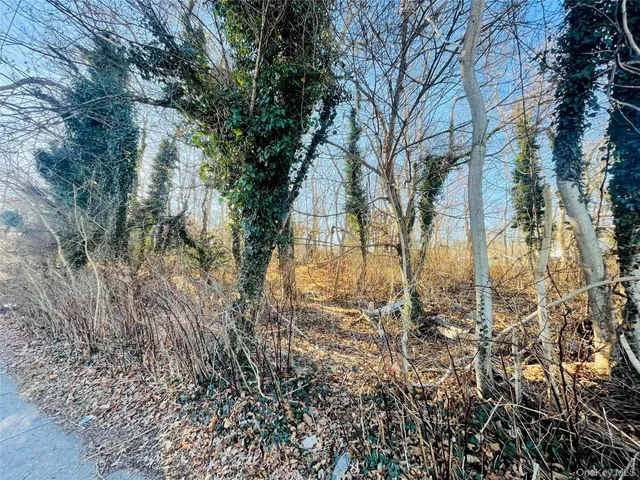 $399,000 | Vl Meadowmere Avenue, Mastic, NY 11950