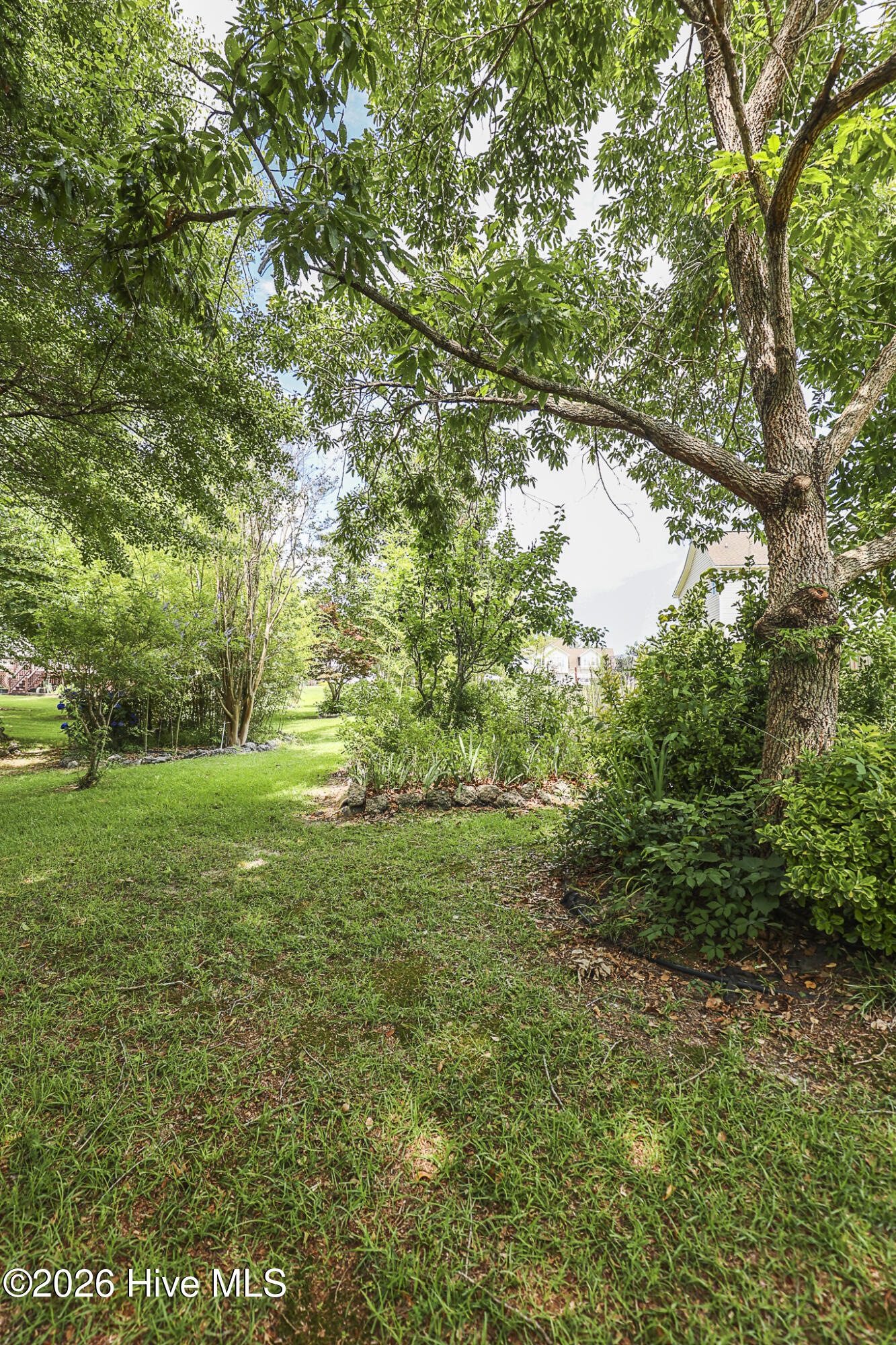 217 Rutherford Way Jacksonville, NC 28540 - Photo 69 of 96