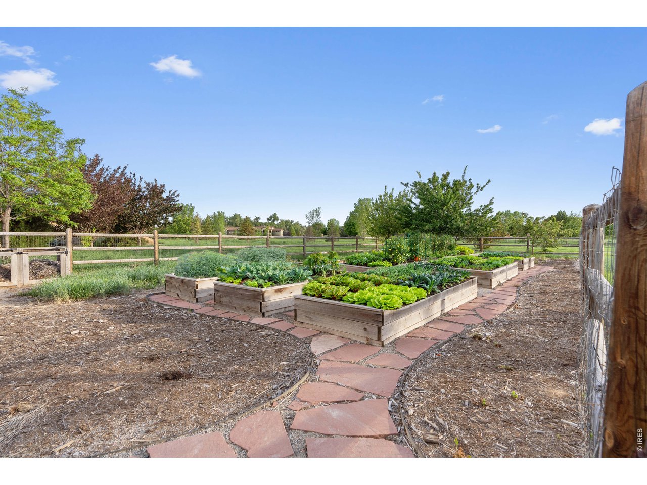 964 Riparian Way Fort Collins, CO 80524 - Photo 16 of 42 a view of a park with large trees and plants