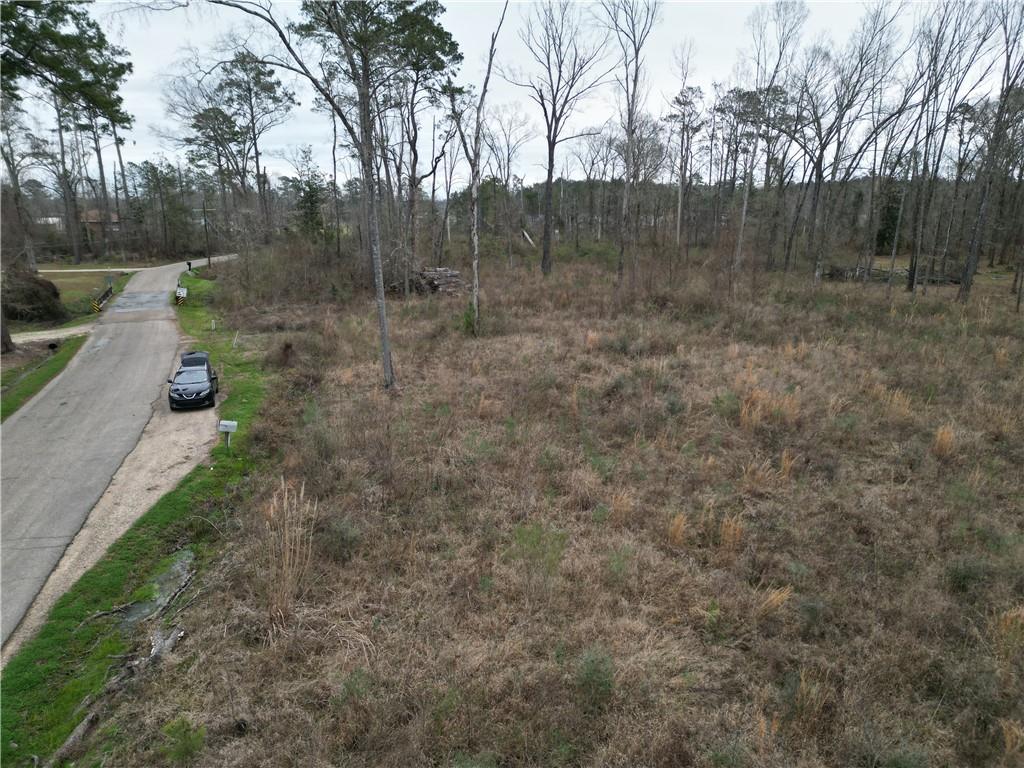 29950 West Bates Road Hammond, LA 70403 - Photo 5 of 11