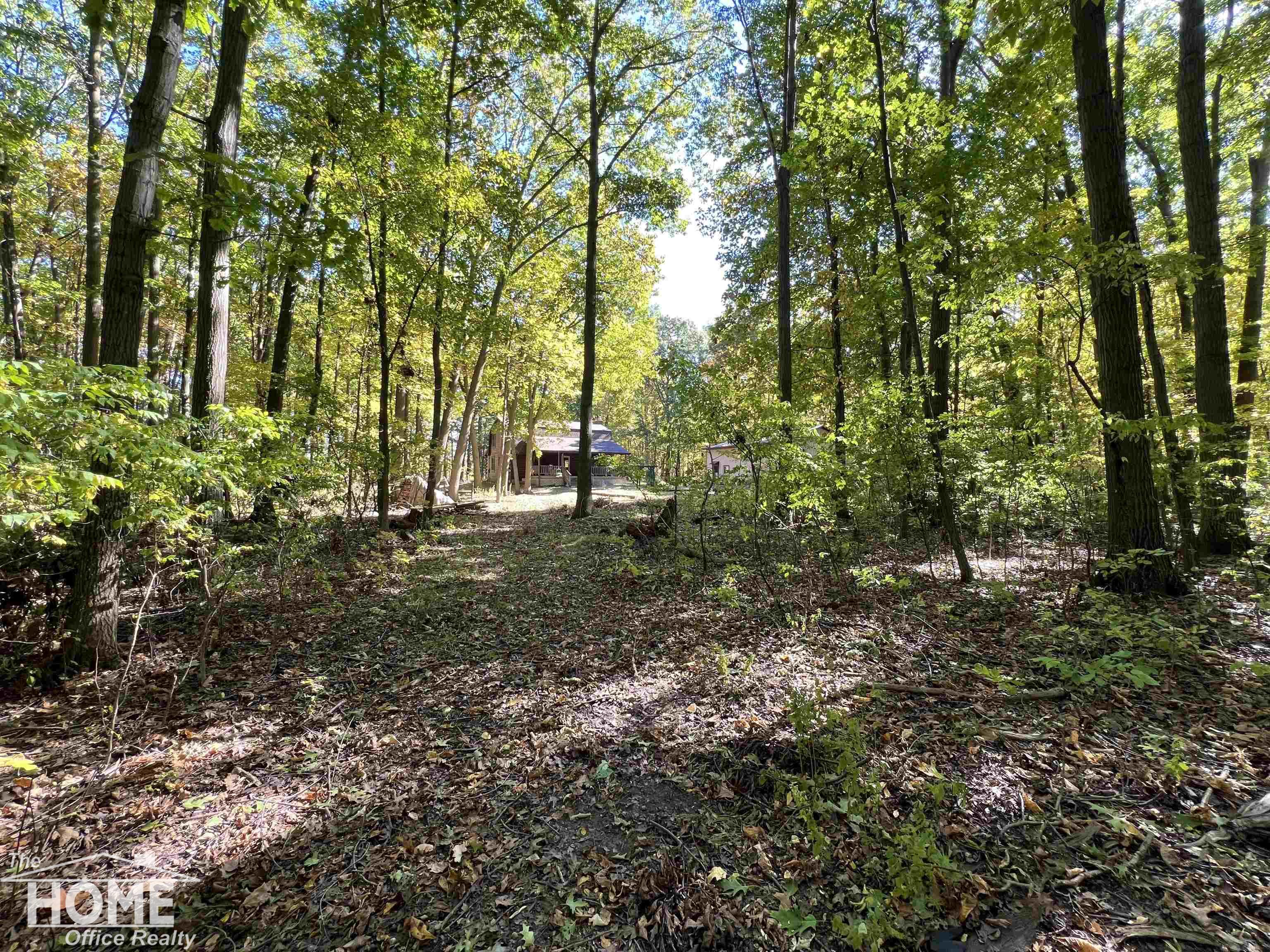 10246 Scribner Road Bancroft, MI 48414 - Photo 81 of 87