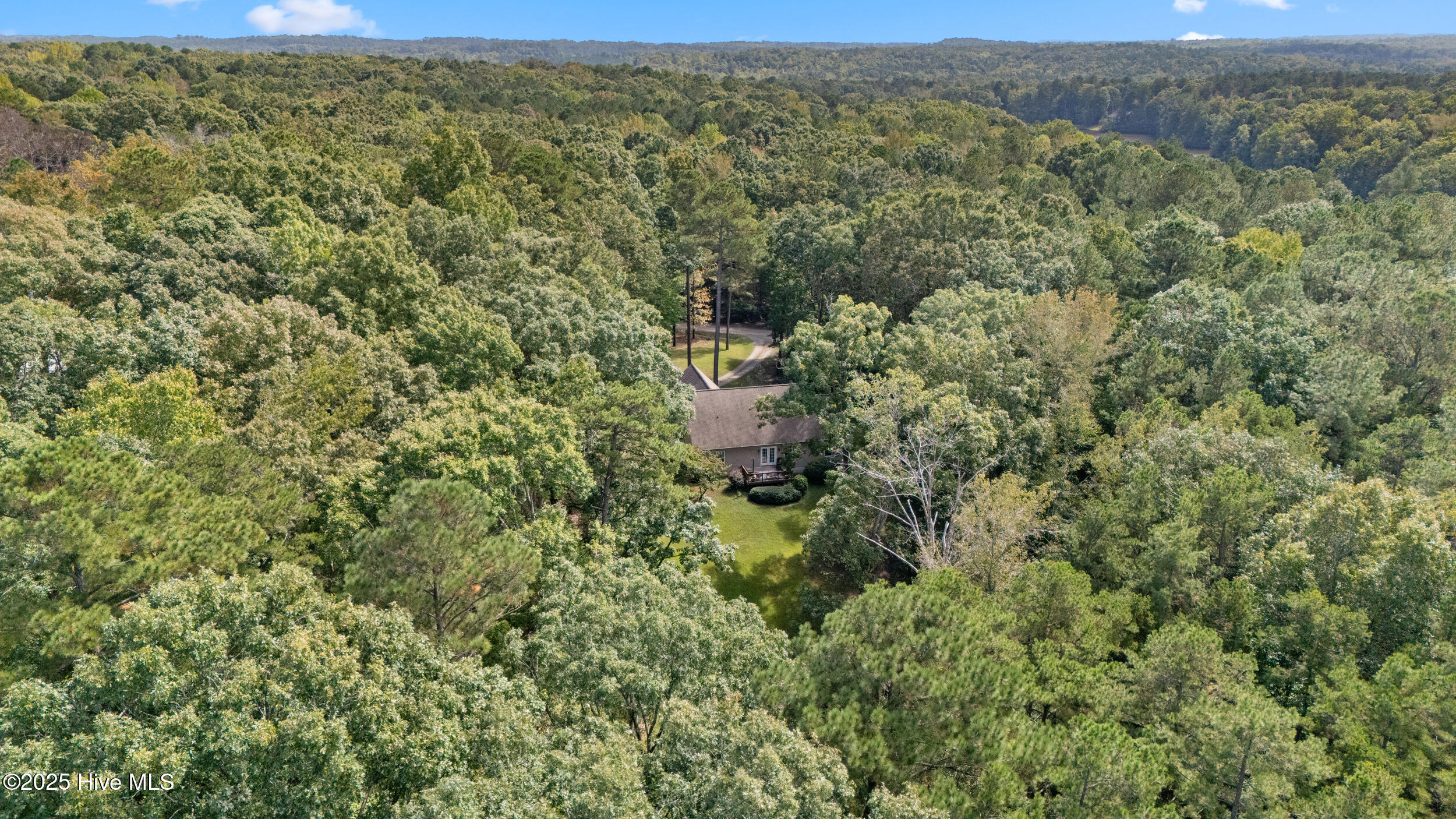 223 Palomino Road Carthage, NC 28327 - Photo 28 of 34 ARIEL REAR-223 PALOMINIO