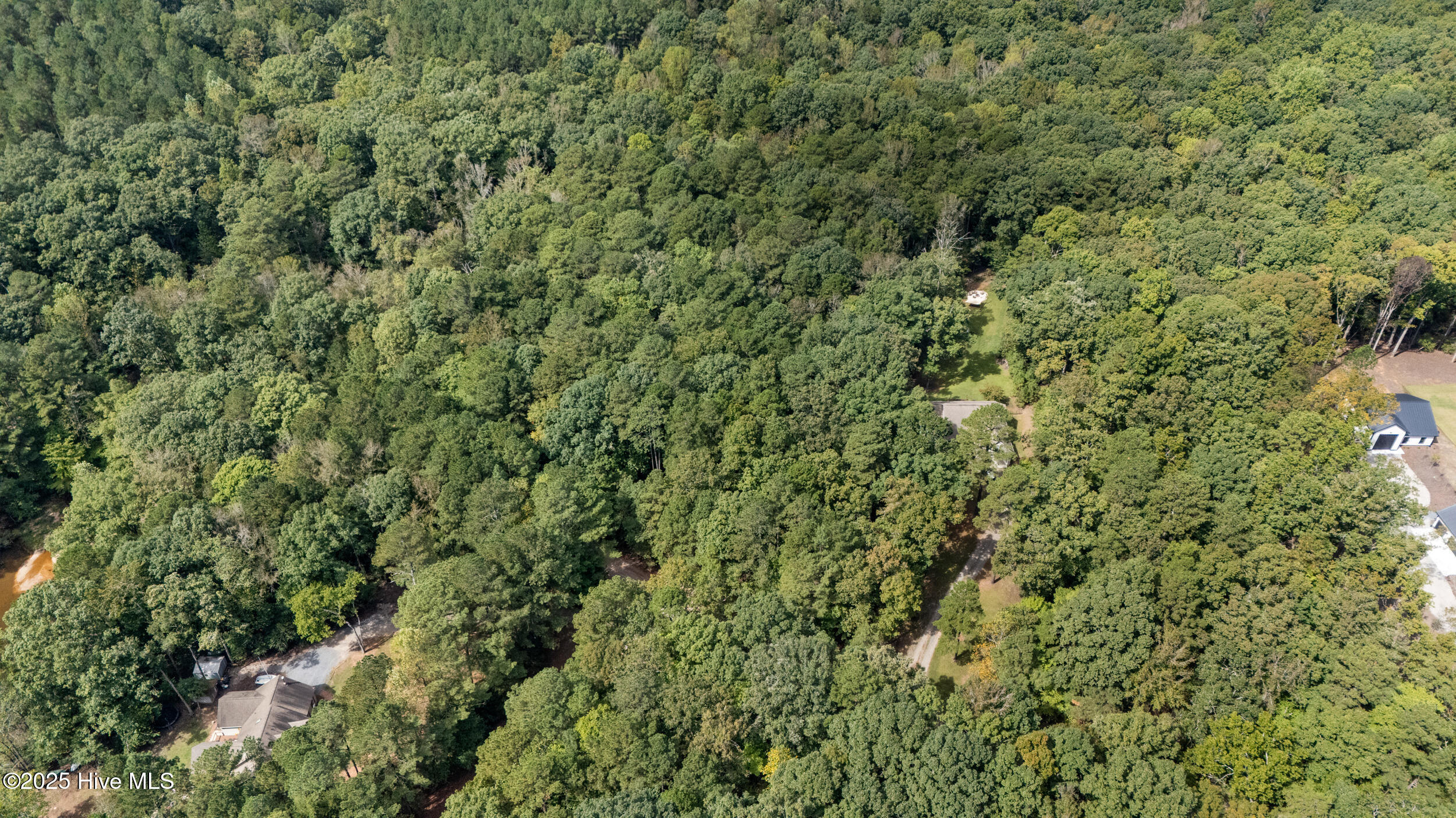 223 Palomino Road Carthage, NC 28327 - Photo 30 of 34 ARIEL OF LAND - 10.41 ACRES