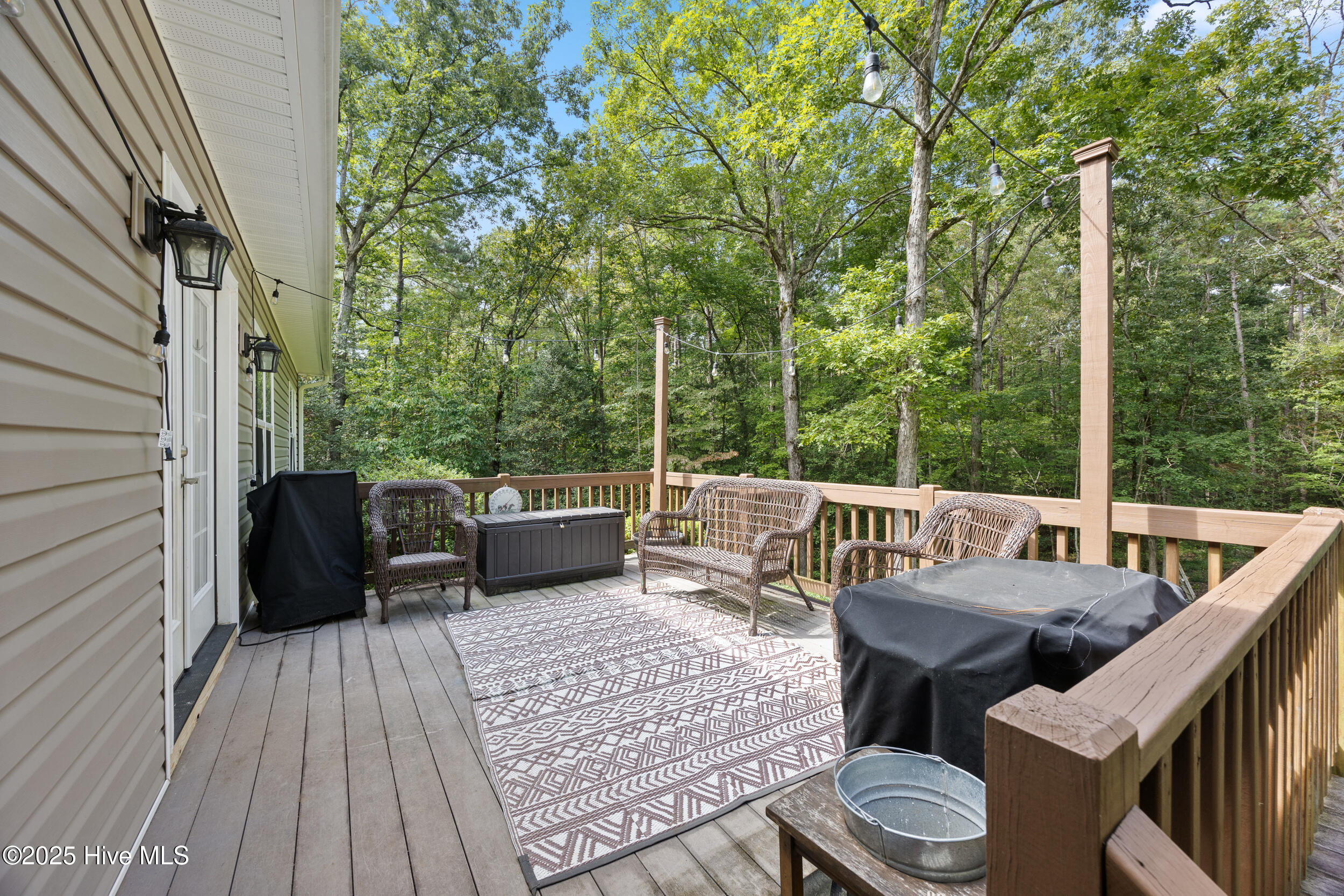 223 Palomino Road Carthage, NC 28327 - Photo 7 of 34 BACK DECK