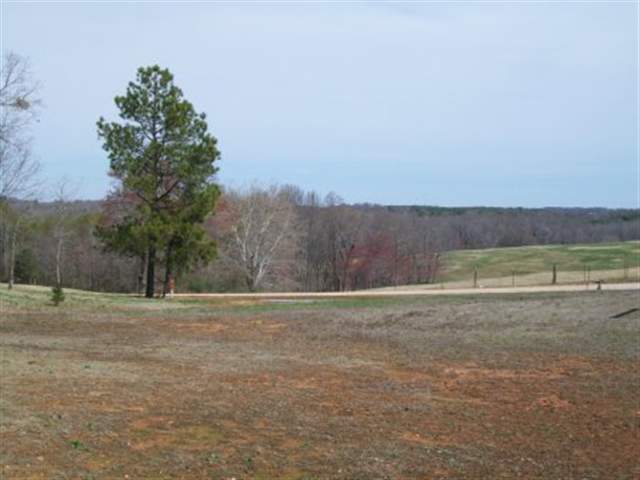 4805 Cockrell Road Greer, SC 29651 - Photo 23 of 24