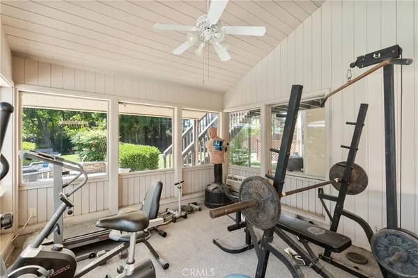 a view of backyard with tree