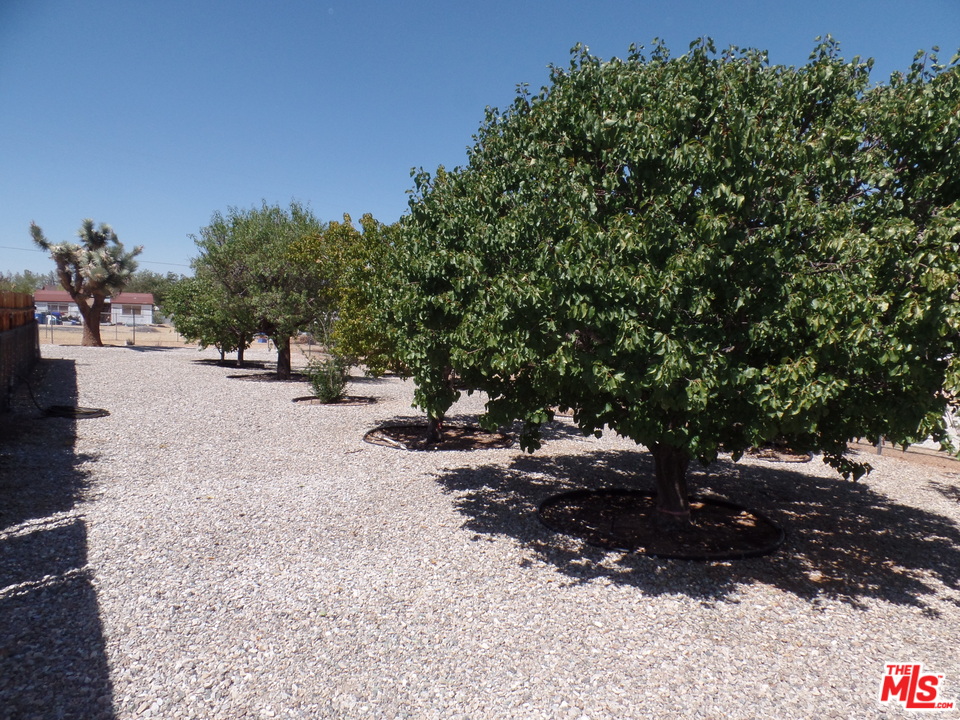 19200 Allegheny Road Apple Valley, CA 92307 - Photo 10 of 15