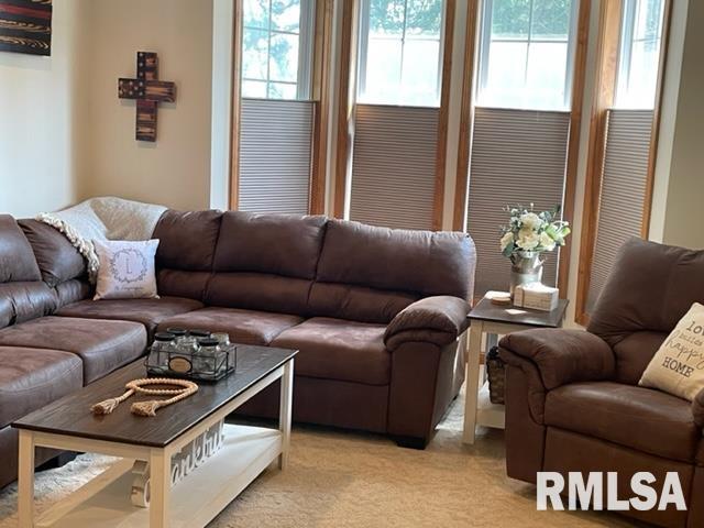 467 State Street Rockbridge, IL 62081 - Photo 5 of 26 Gallery Image 5