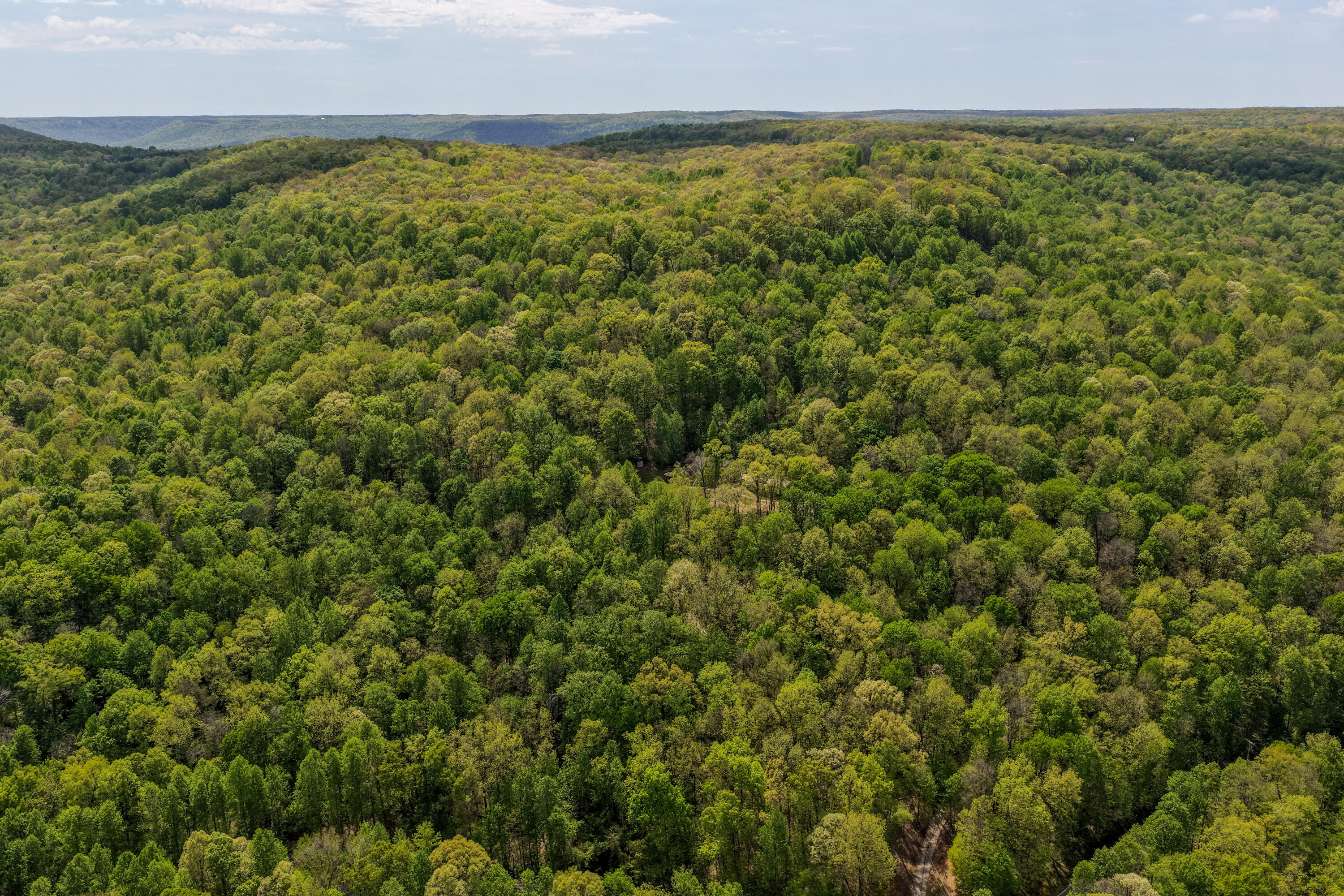 3850 Stagecoach Road Sewanee, TN 37375 - Photo 58 of 88 Stagecoach-31