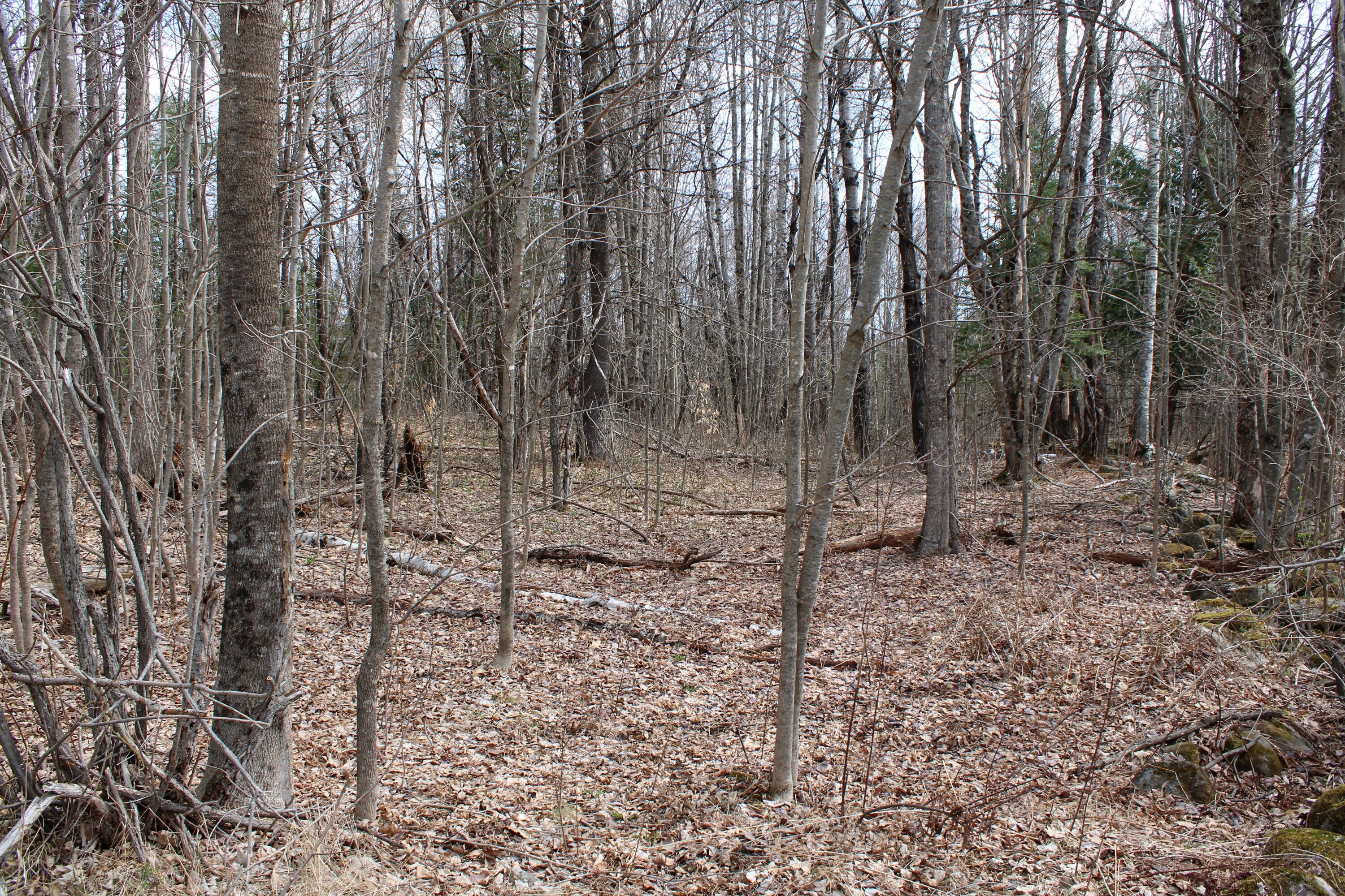 M6-l29 West Ridge Road Cornville, ME 04976 - Photo 3 of 4 8