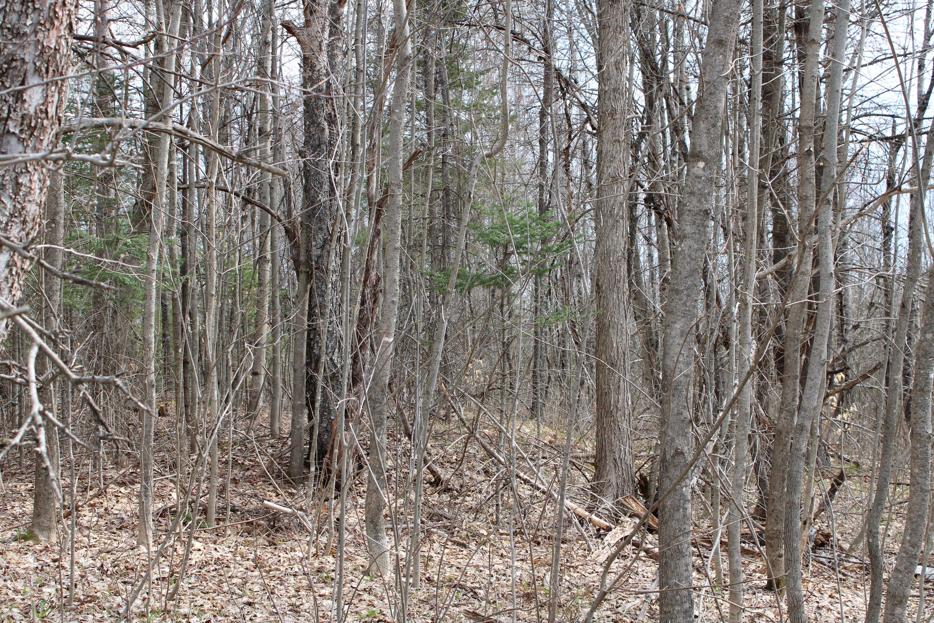 M6-l29 West Ridge Road Cornville, ME 04976 - Photo 4 of 4 9