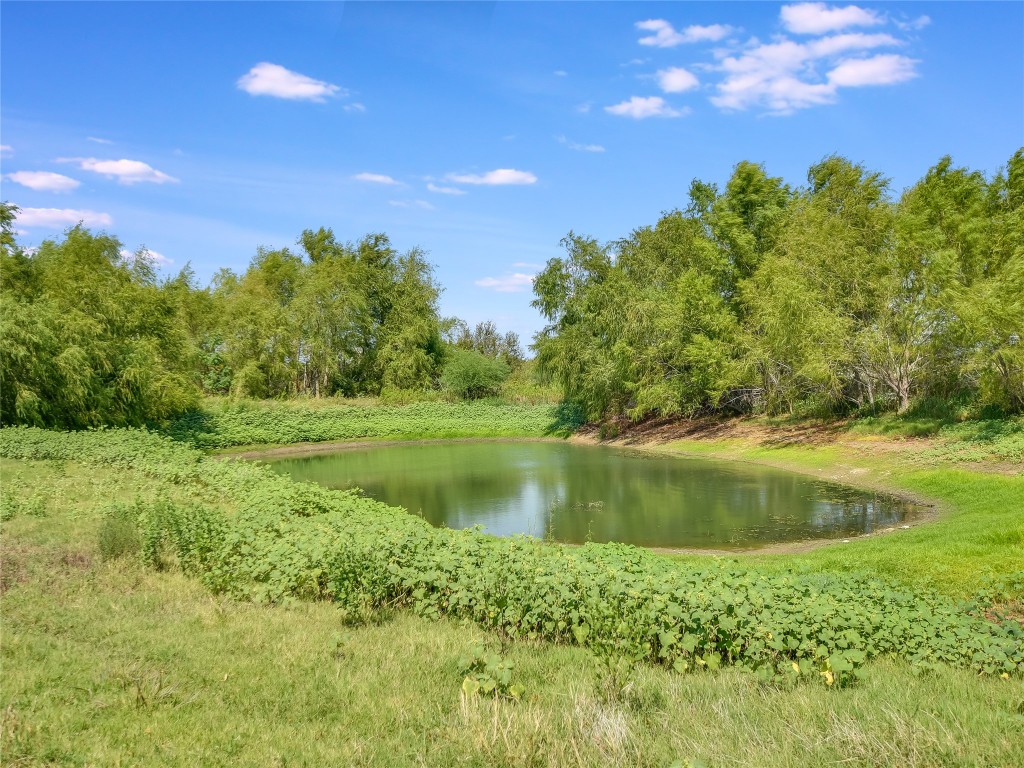 a view of a lake with a yard