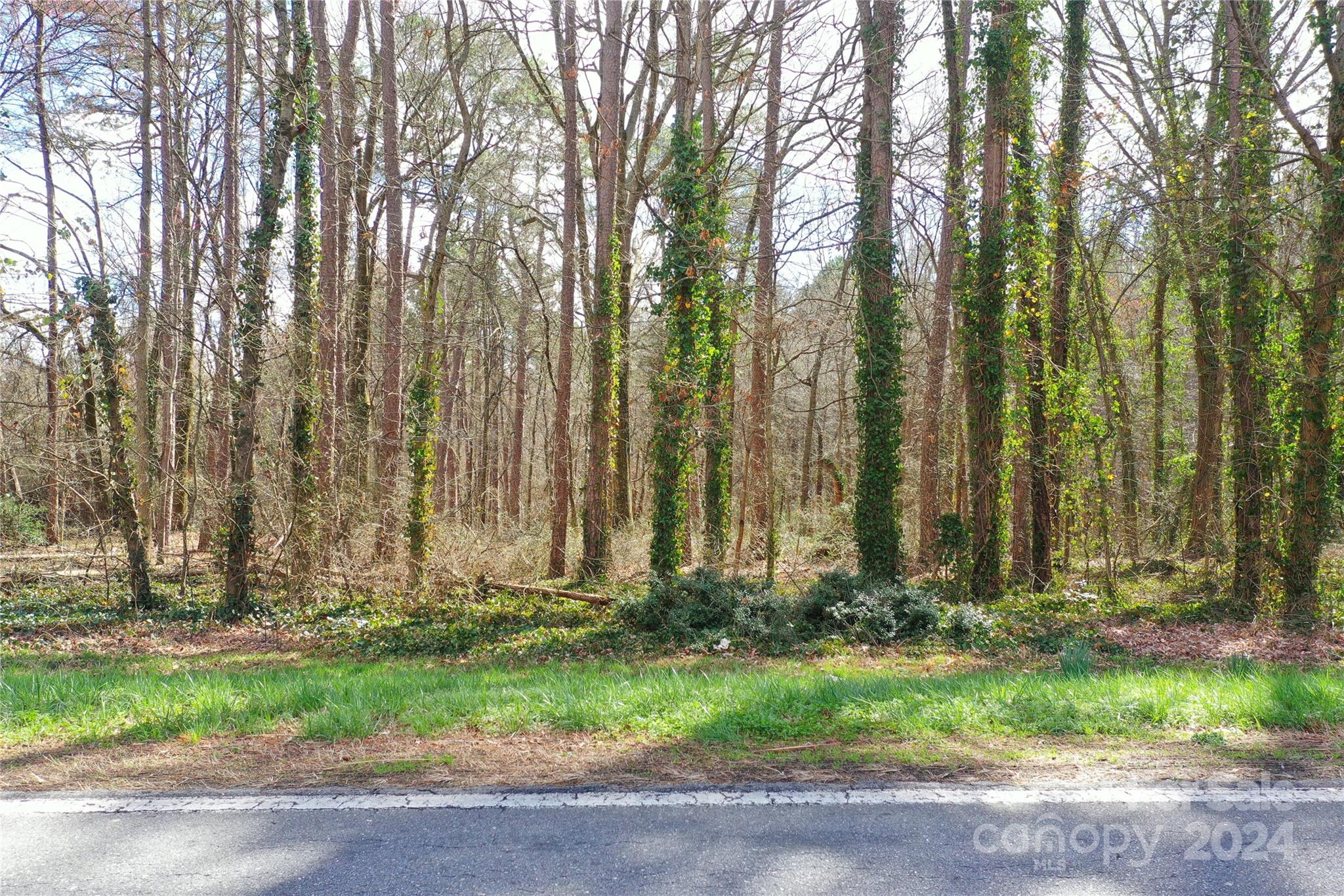 0 Hephzibah Church Road, Unit 2 Crouse, NC 28033 - Photo 22 of 23 Gallery Image 22
