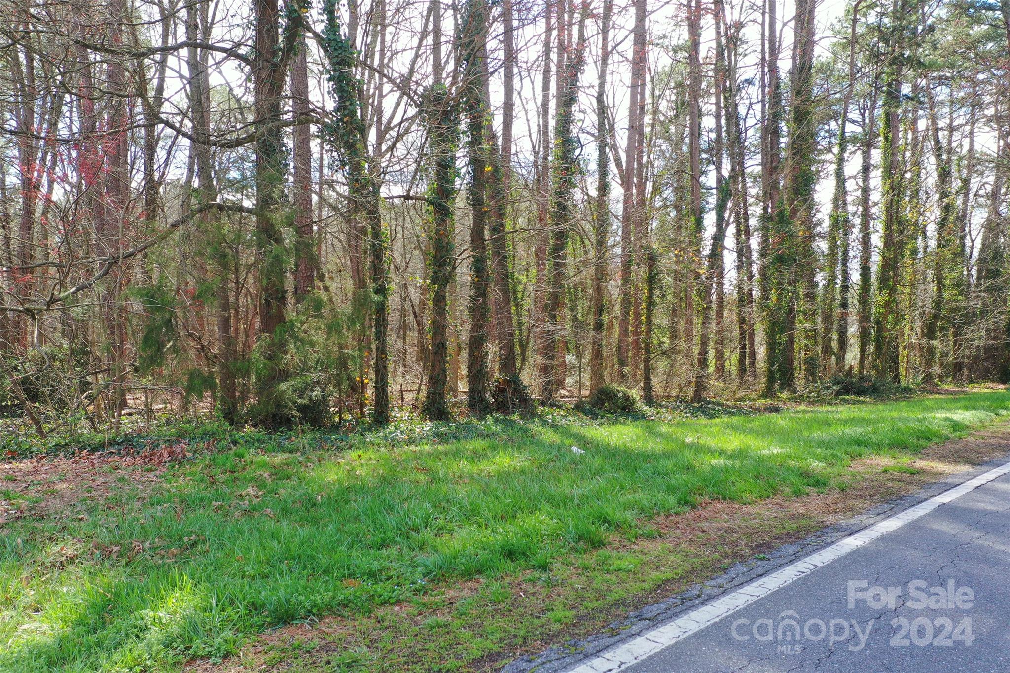 0 Hephzibah Church Road, Unit 2 Crouse, NC 28033 - Photo 7 of 23 Gallery Image 7