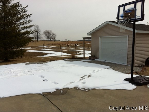 3389 Shake Rag Road Waverly, IL 62692 - Photo 3 of 24