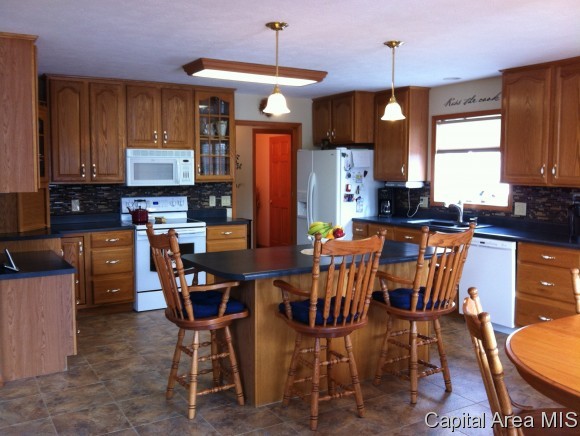 3389 Shake Rag Road Waverly, IL 62692 - Photo 7 of 24