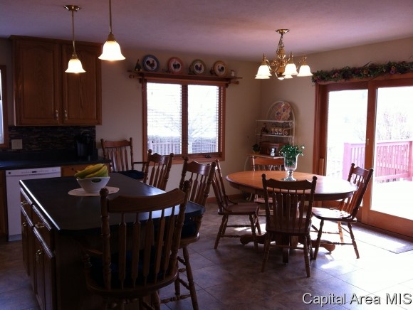 3389 Shake Rag Road Waverly, IL 62692 - Photo 8 of 24