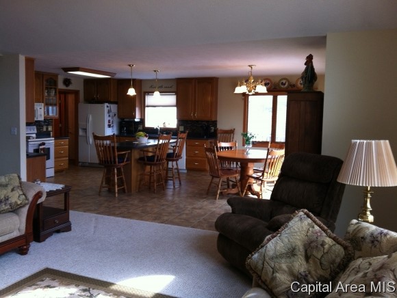3389 Shake Rag Road Waverly, IL 62692 - Photo 9 of 24