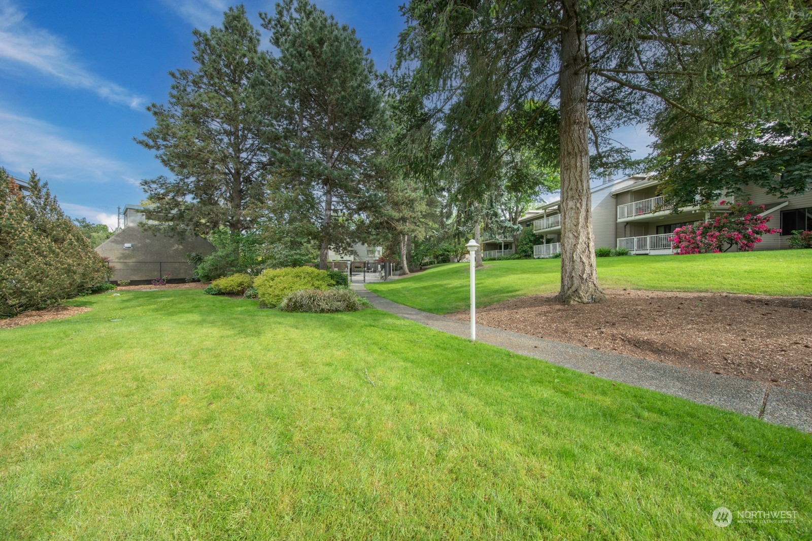 6467 Sand Point Way Northeast Seattle, WA 98115 - Photo 23 of 29 a small garden covered with tall trees
