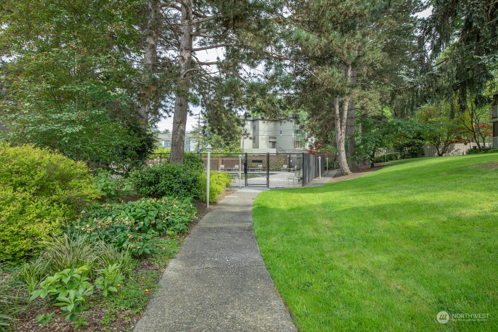 6467 Sand Point Way Northeast Seattle, WA 98115 - Photo 24 of 29 a view of a park with bench and trees