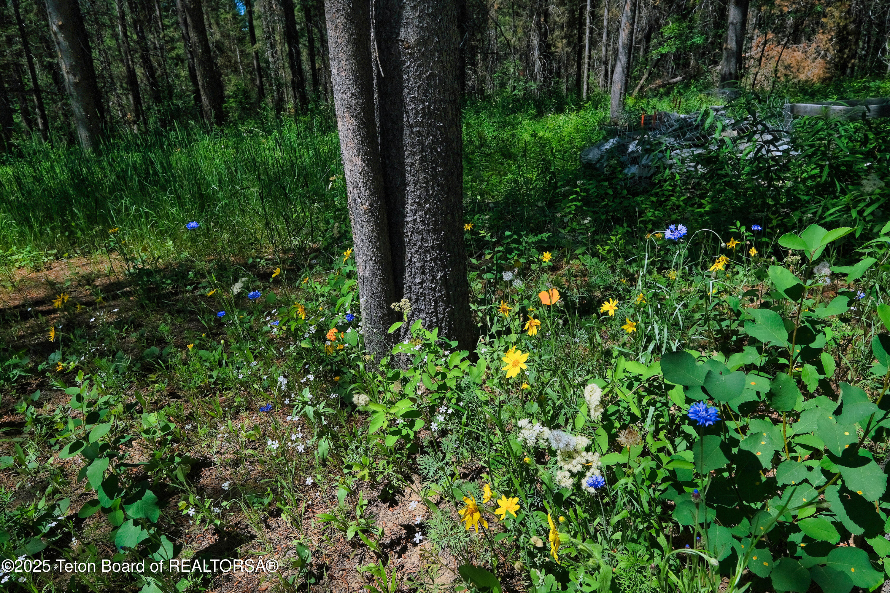 4327 Bridger Ridge Ashton, ID 83420 - Photo 52 of 62 4327 Bridger Ridge _For MLS-27