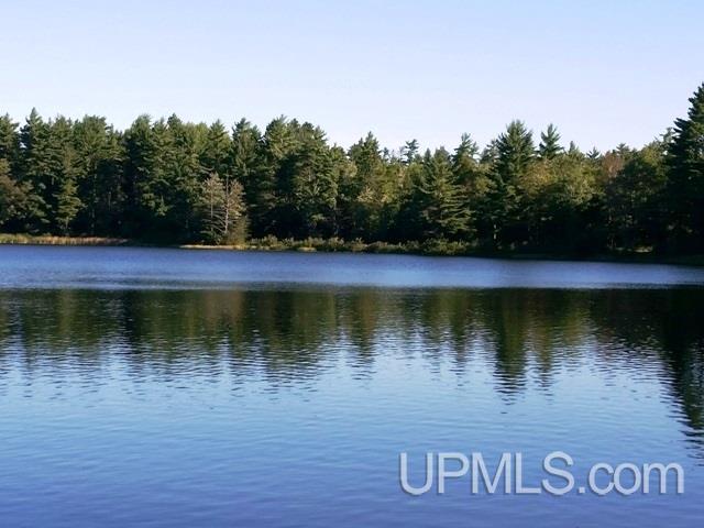 Tbd West Paint Lake Road, Unit J Iron River, MI 49935 - Photo 7 of 17