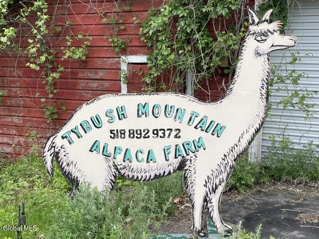 62 Tybush Lane Brunswick, NY 12180 - Photo 75 of 75 Alpaca Farm