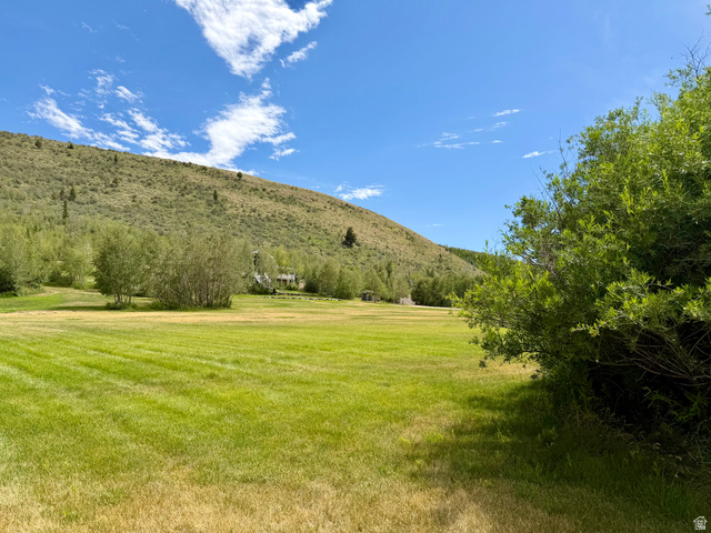 1133 Paris Canyon Road Paris, ID 83261 - Photo 53 of 75 Privacy and space offered in green fields bordered by mature trees and a distant hillside