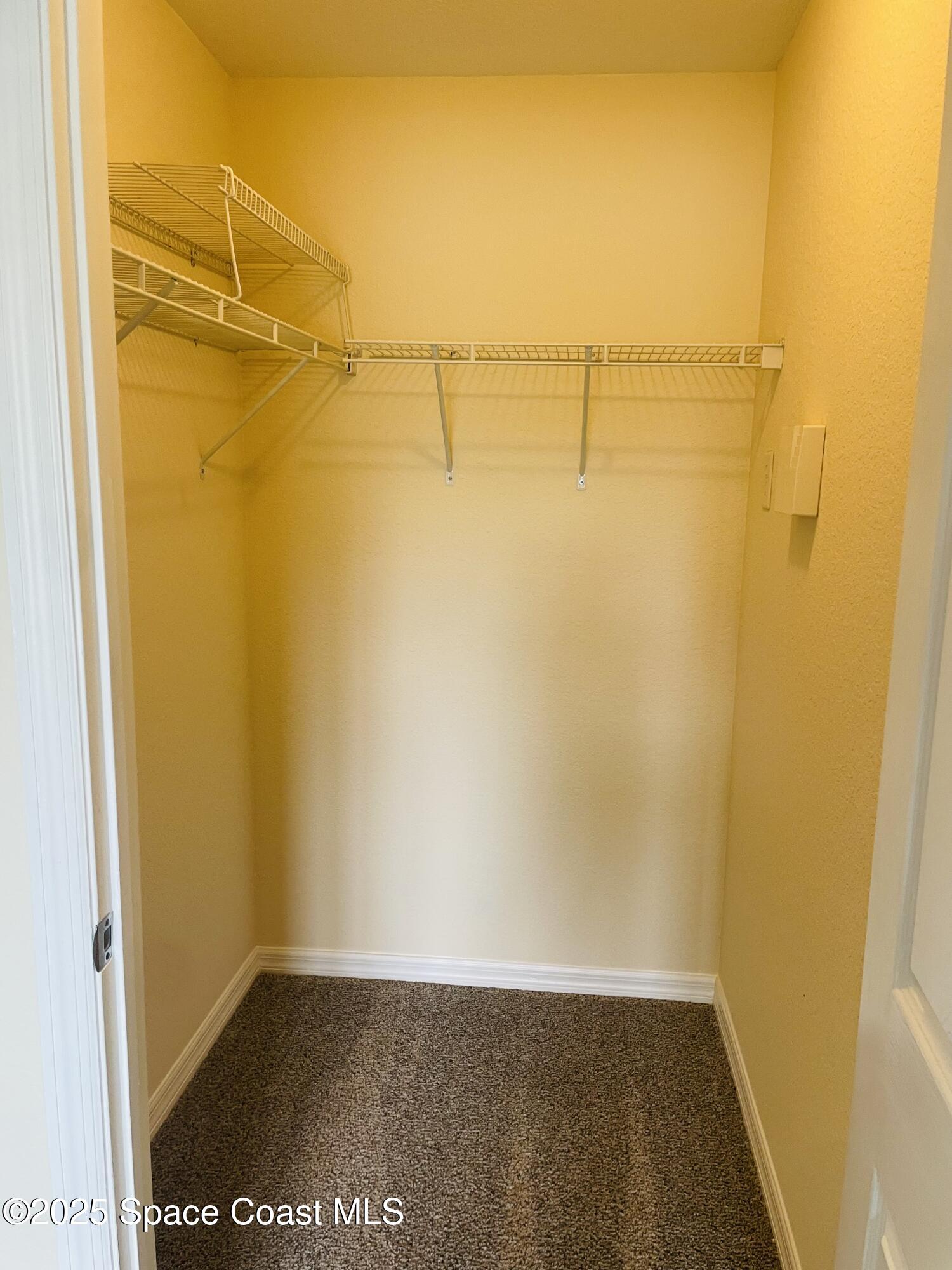 3501 D D'Avinci Way, Unit 1011 Melbourne, FL 32901 - Photo 12 of 19 a view of a walk in closet