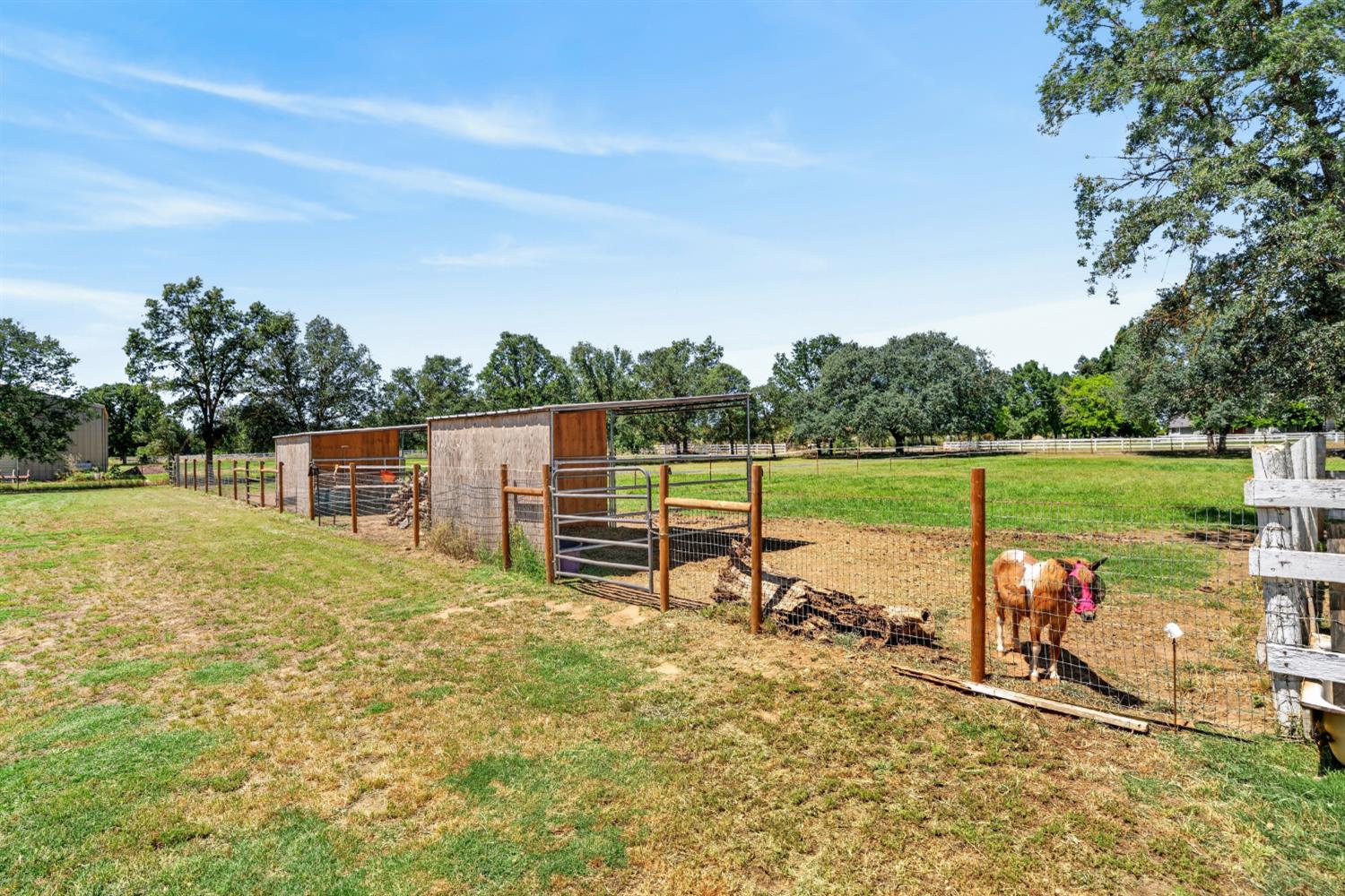 13088 Cherry Road Wilton, CA 95693 - Photo 41 of 58 Two paddocks in the front pasture with shelters.