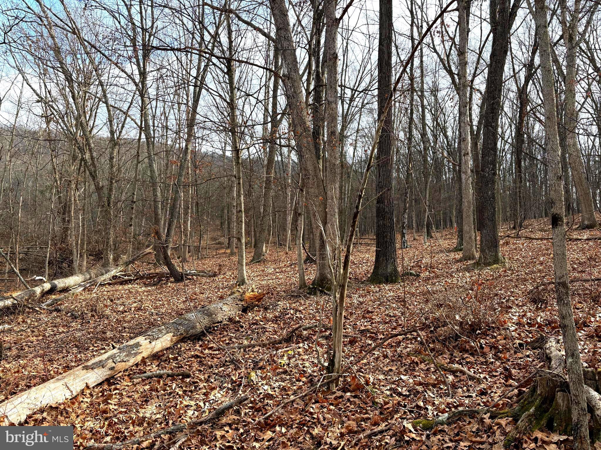 16 Rolling Acres Road Old Fields, WV 26845 - Photo 9 of 23