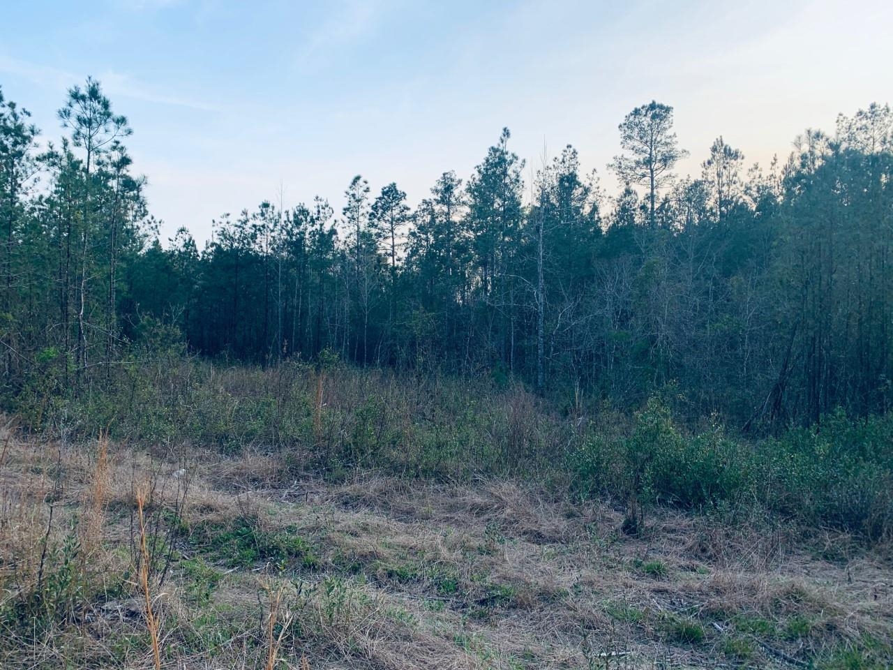 23180 Lonnie Hadley Road Perdido, AL 36562 - Photo 1 of 11